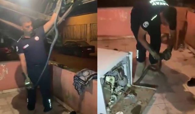 Hatay Dörtyol'da bir evin bulaşık makinesine giren 2 metrelik karayılanı itfaiye ekipleri çıkardı
