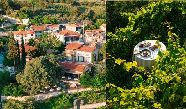 Kuşadası'nda yeni bir konsept: PINUĀ Rooms & Table