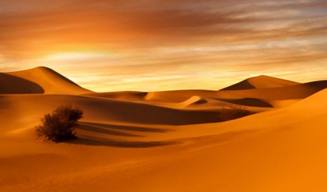 Sahara Çölü'nde korkunç son: 50 kişi susuzluktan öldü!