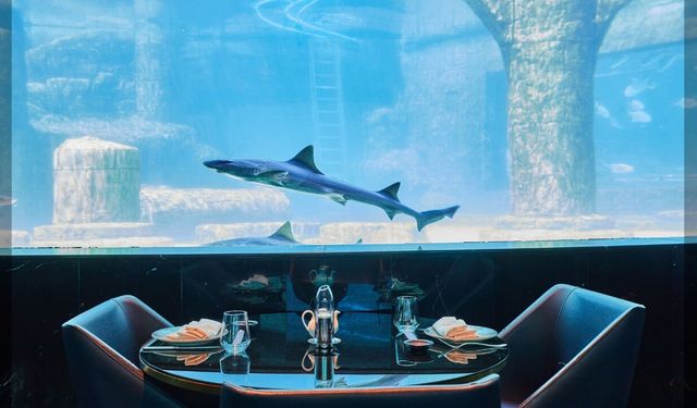 Tersane İstanbul'un yeni gastronomi noktası: Nemo