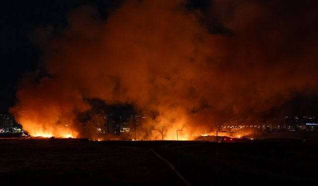 Ankara'da otluk alanda çıkan yangın söndürüldü