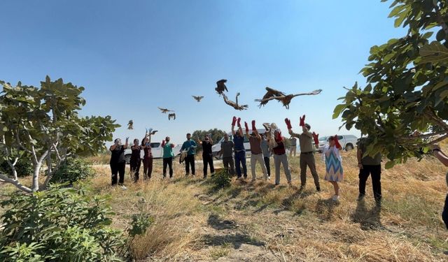 Tedavileri tamamlanan kuşlar doğaya döndü