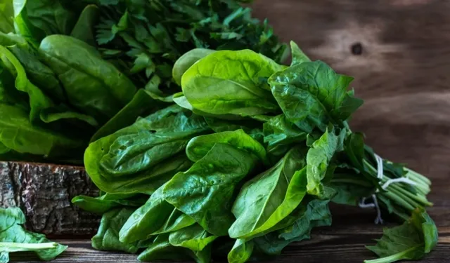 Ispanak diyabete umut oldu