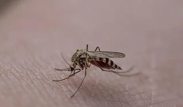 Çin’de yeni salgın alarmı