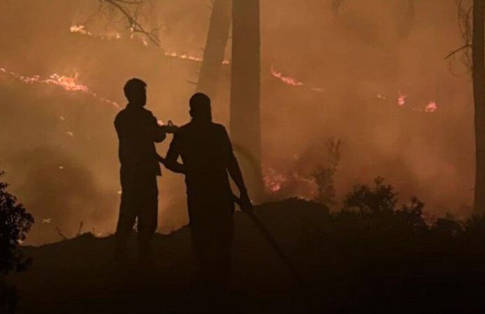 Adana'da orman yakan zanlıya 10 yıl hapis talebi