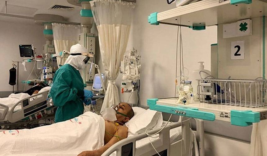 Ankara'nın ardından Bolu'da ‘deli dana’ vakası çıktı