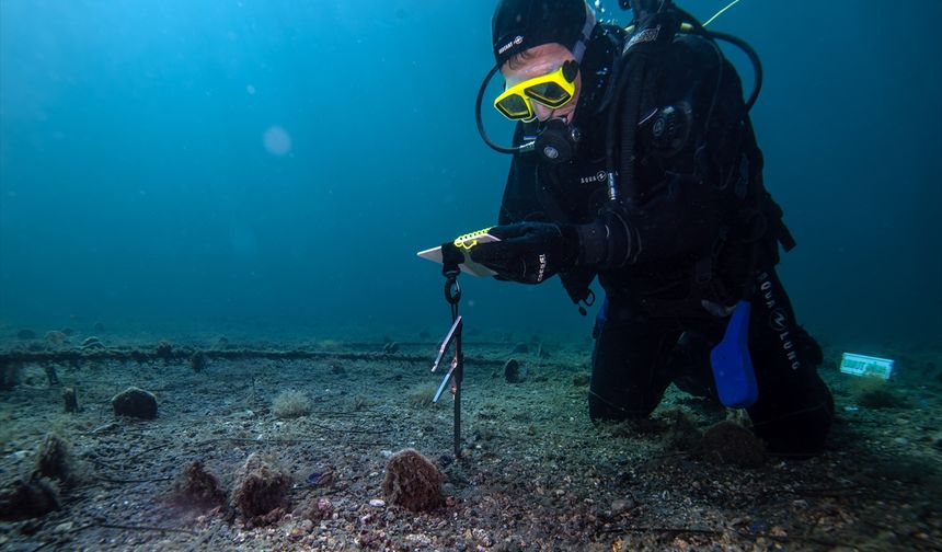 Marmara’da umudun kabukları: Bebek Pina sayısı artıyor