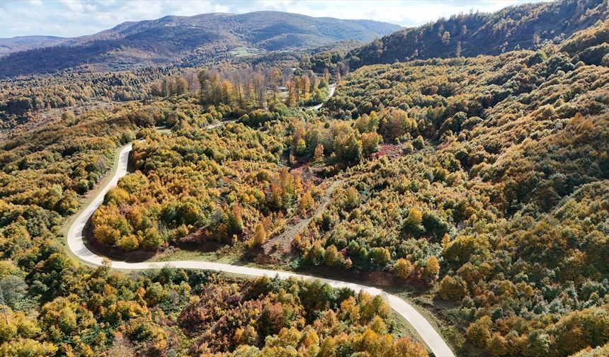 Ordu'da masalsı sonbahar manzarası