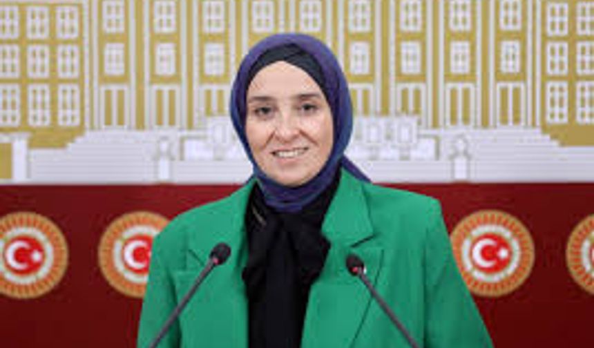 Elif Esen: ‘’Eğitime ayrılan bütçe daha çok artırılmalıdır’’
