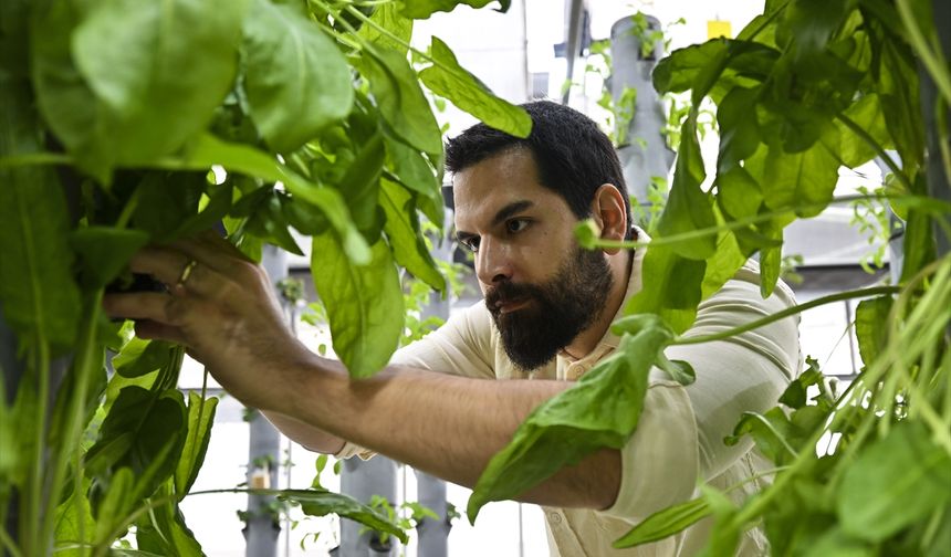 Topraksız tarım geleceğe umut oluyor!
