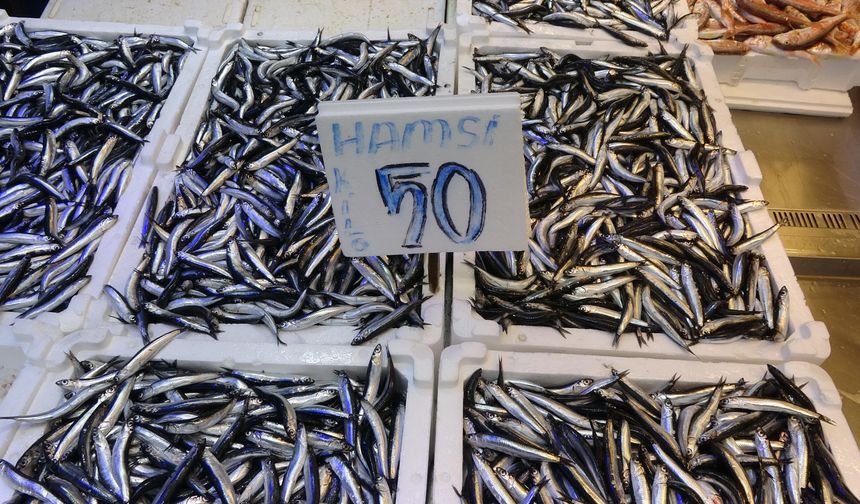 Trabzonlular hamsiye doydu! Kilosu 50 liradan alıcı buluyor