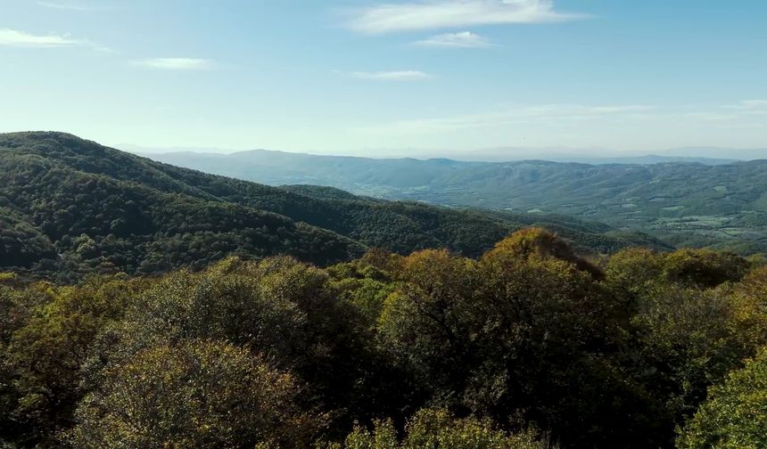Çanakkale'nin güzelliği Biga'da: Sonbahar renkleri havadan görüntülendi