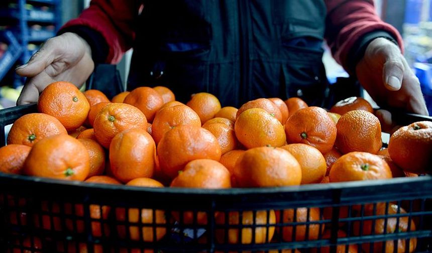 25 ülkeye ihracat yapan dev şirket konkordato sürecine girdi