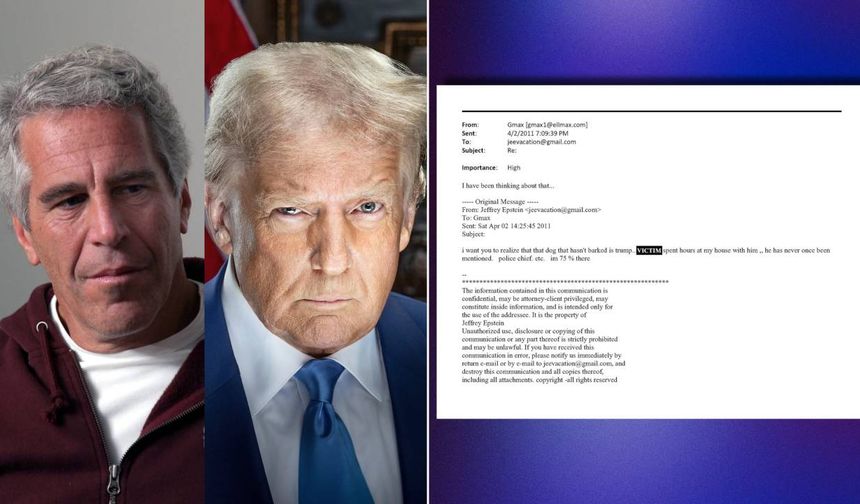 Epstein'den Trump'a: "Havlamayan köpek"