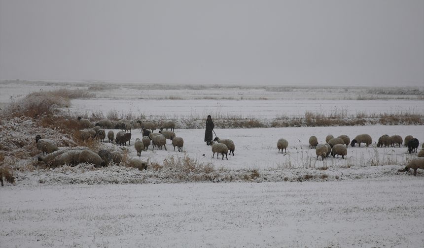 Van'da merada koyun otlatan çobanlar kara yakalandı