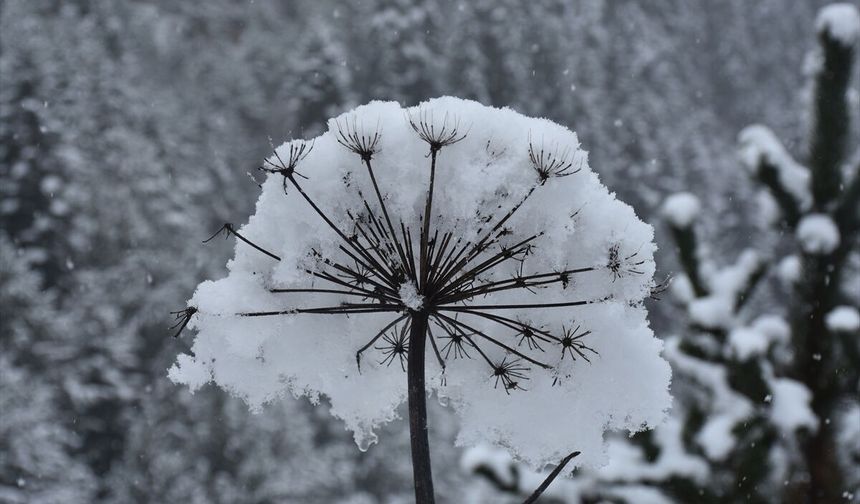 Zigana Dağı'nda kart postalları aratmayan manzara