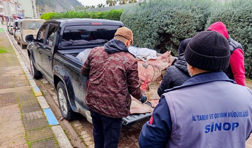 Kaçak balık operasyonu: Yüzlerce kalkan balığı vatandaşlara ücretsiz dağıtıldı