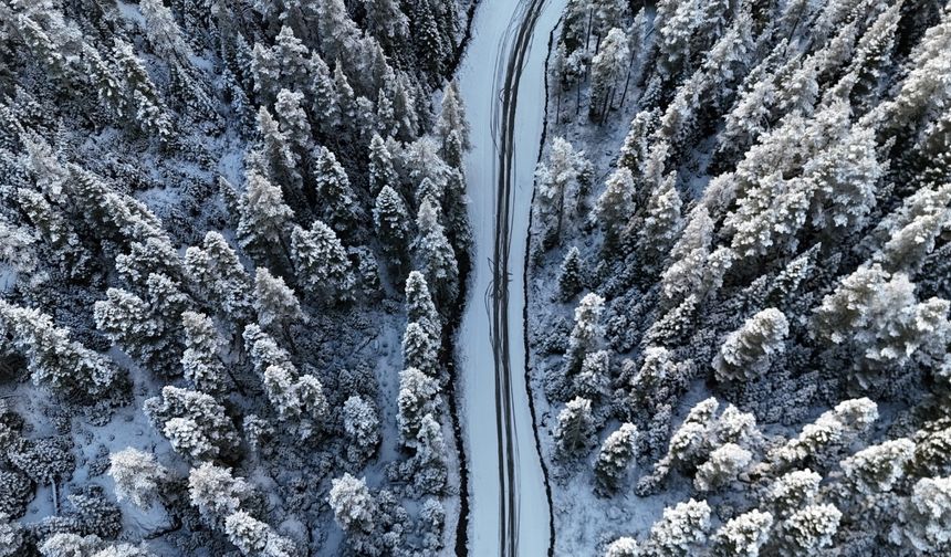 Bolu beyaz örtüyle kaplandı