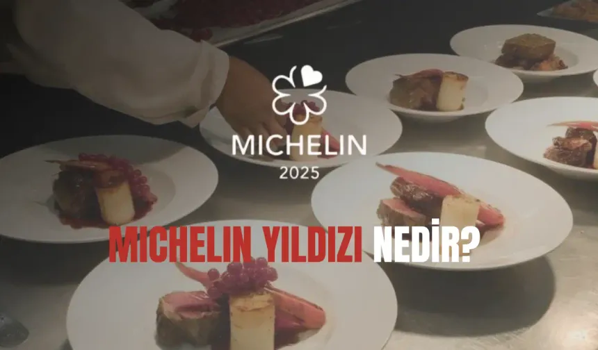 MICHELIN Yıldızı nedir? Kimlere verilir? Doğuş hikayesi ve sırrı