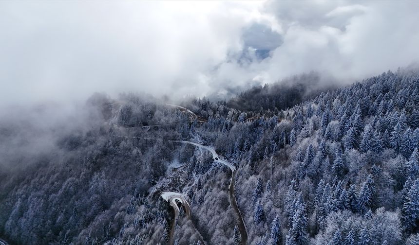 Rize ve Artvin'de kar yağdı