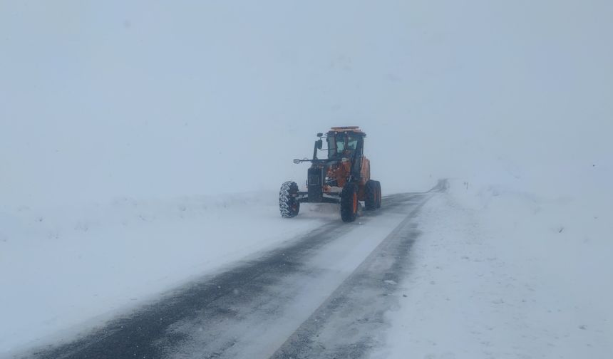 Van'da kar esareti! Yerleşim yerleri ulaşıma kapandı