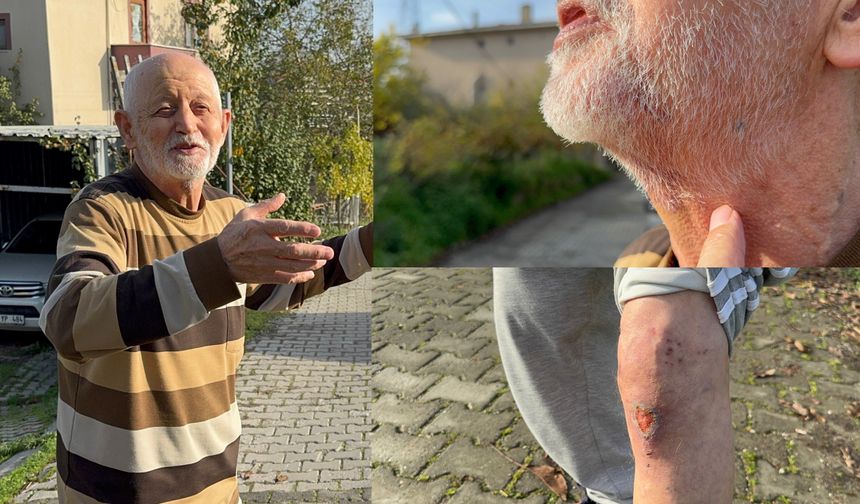 Tüm emeklerini döve döve çaldılar! 1 kilo 300 gram altını uçtu gitti