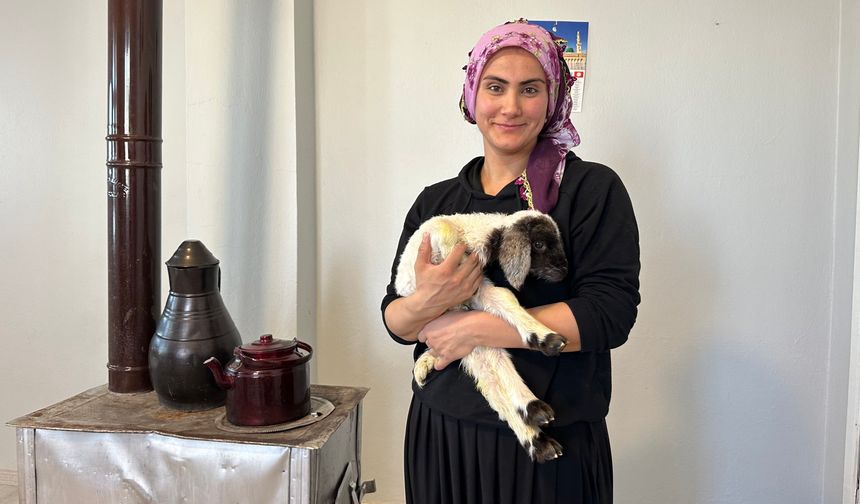 Annesiz kalan kuzu ailenin ‘Umut'u oldu