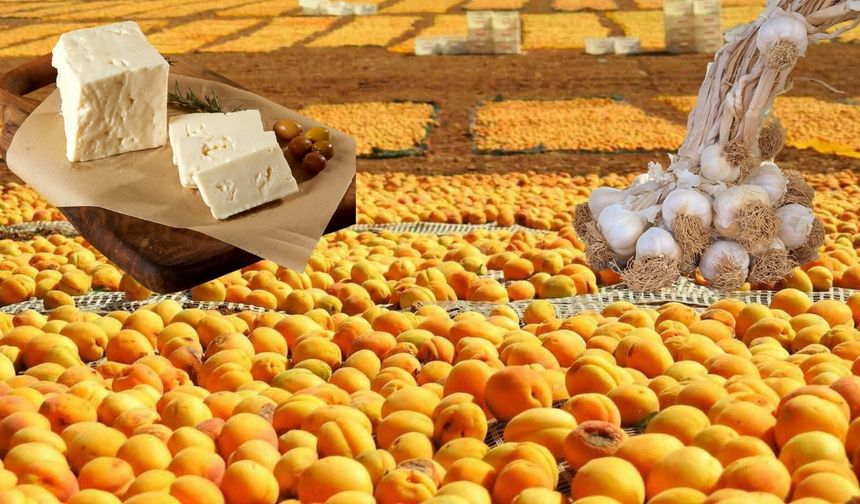 Coğrafi işaretli ürünler yerel ekonomiye değer katıyor