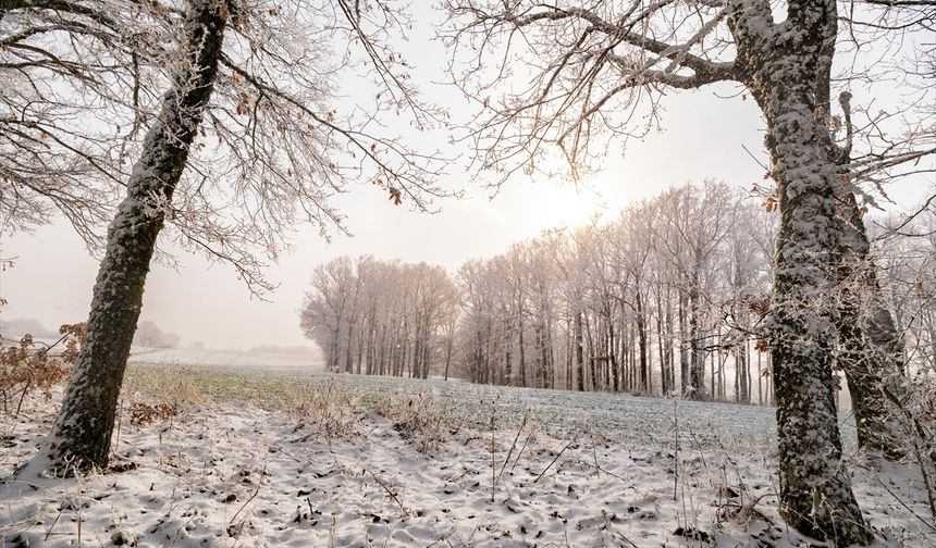 Kırklareli'nde kartpostallık görüntüler: Istranca Ormanları karla kaplandı!