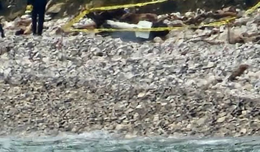 Sahile vuran gizemli cisim panik yarattı: Halka uyarı yapıldı