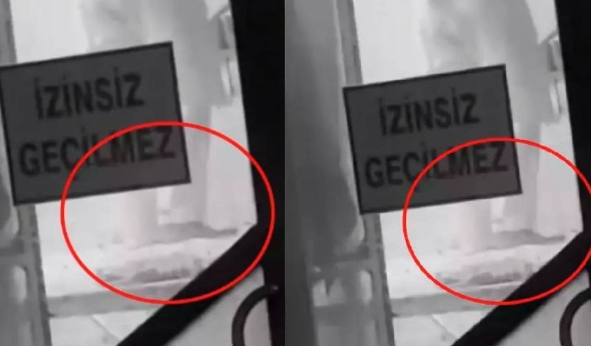 Sakarya'dan skandal görüntüler! Ayaklarıyla hamur yoğurdu, işletme mühürlendi