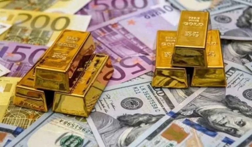 Döviz varlıkları gerilerken altın rezervlerinde sınırlı artış