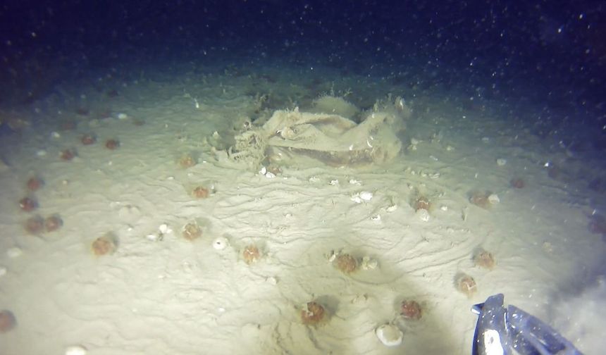 42 kişiye mezar olmuştu: THY’nin 51 yıl önce düşen uçağından yeni izler!