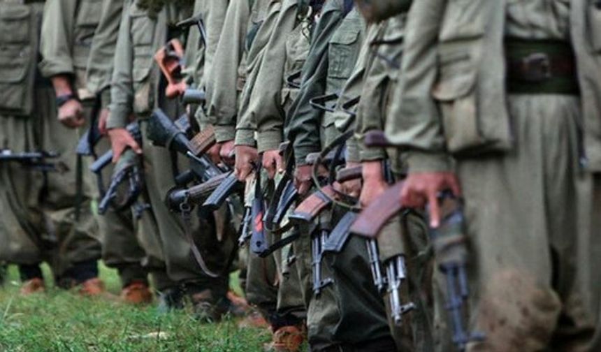 Raporun en çarpıcı maddeleri! Kayyum, terör suçları, infaz adaleti...