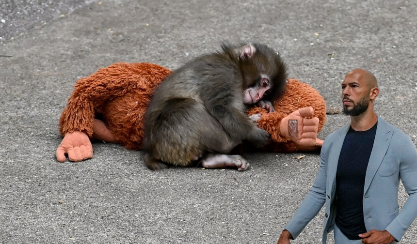 Annesi reddetti, dünya sahiplendi: IKEA peluşu 350 dolara fırladı