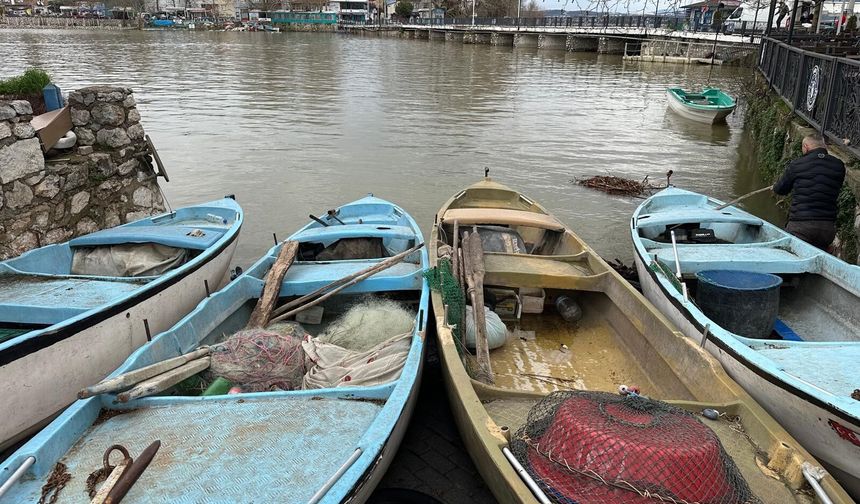 Uluabat Gölü yeniden 'Küçük Venedik'e dönüştü
