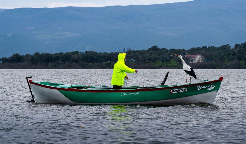 Beklenen kavuşma gerçekleşti: Yaren leylek 15. kez Bursa'ya döndü