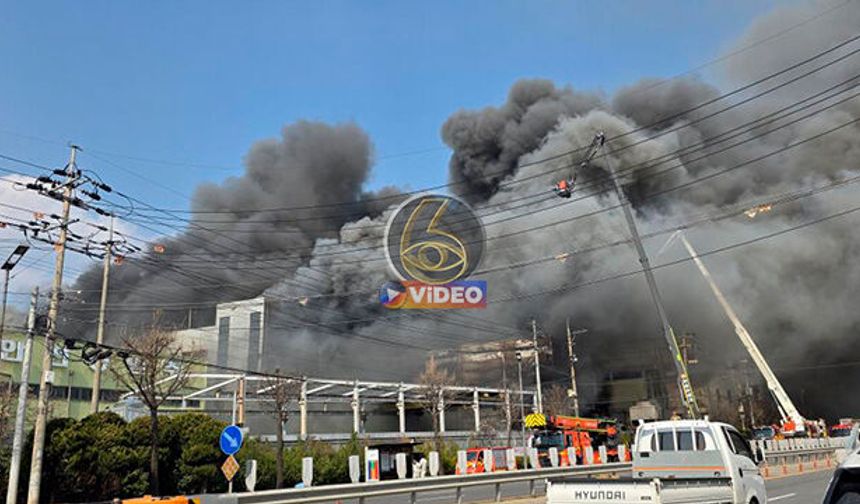 Güney Kore'de fabrikada büyük patlama: 14 ölü 59 yaralı | VİDEO