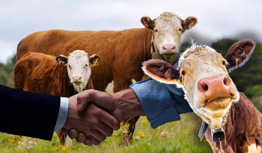 Kurban Bayramı 2026 ne zaman, hangi gün? Kurban Bayramı tatili 9 gün olacak mı? İşte Diyanet dini günler takvimi!