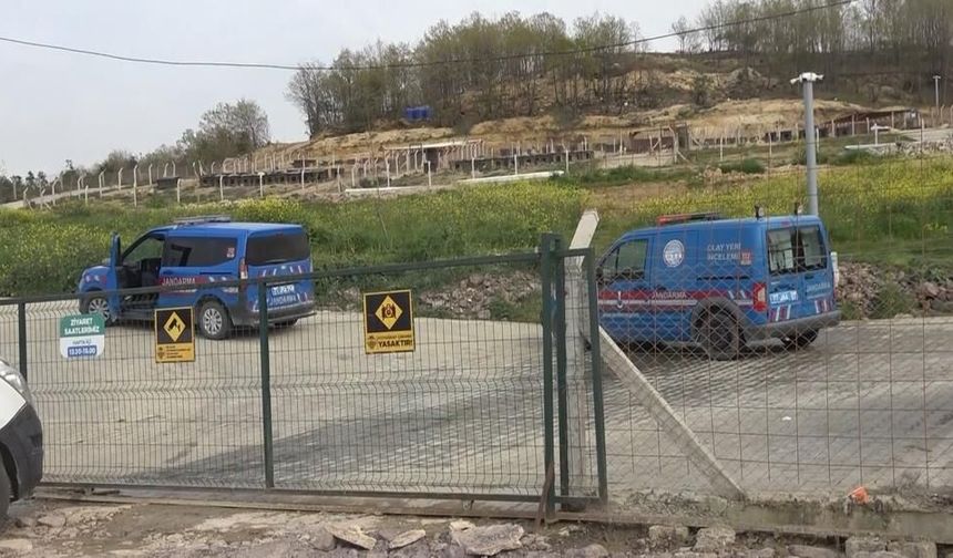 Yalova'daki barınakta köpek ölümleriyle ilgili soruşturma