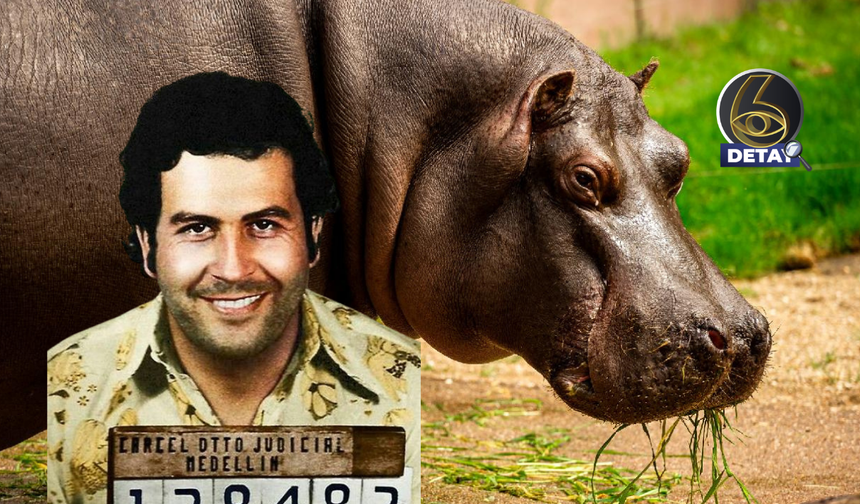 Escobar'ın mirası Kolombiya'nın kâbusuna dönüştü!