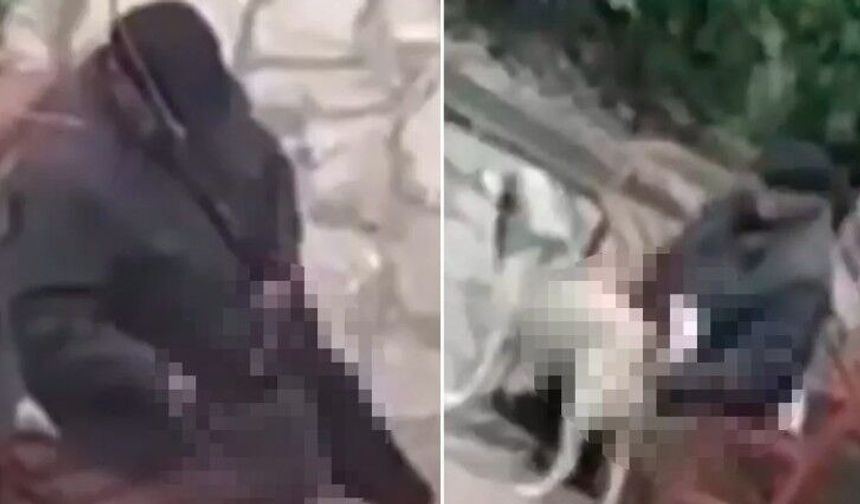 Çocuk parkında skandal! Sapık adam kedi ve köpeği istismar etti