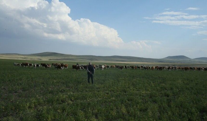 Kars'ta mera kullanımı yasaklandı mı? Bakanlık açıkladı
