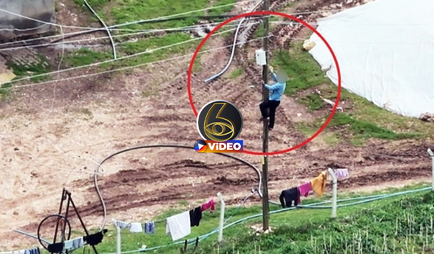 ▶️ Dronu görünce kaçak hatları iptal etti! I VİDEO