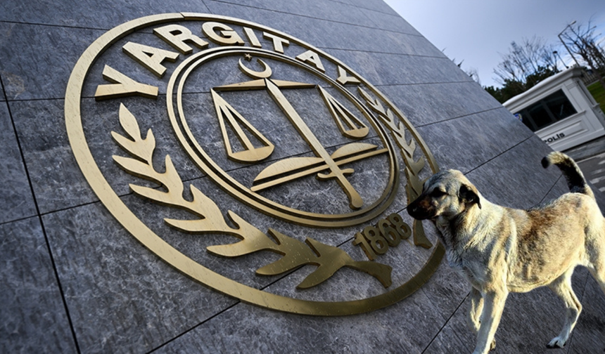 Köpek saldırısına 2 milyon lira tazminat