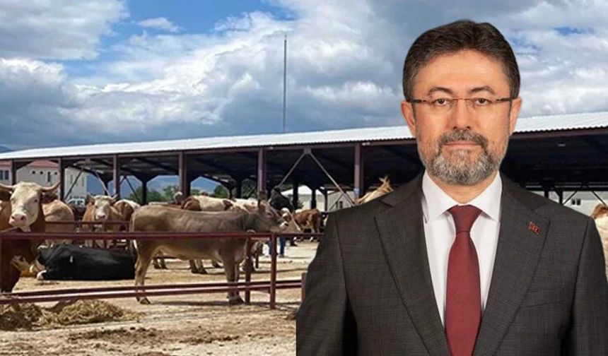 Bakan Yumaklı duyurdu: Elde kalan kurbanlıkları ESK alacak