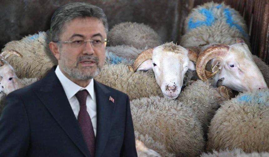 İddialara noktayı koydu: Yapay et Türkiye'ye giremez