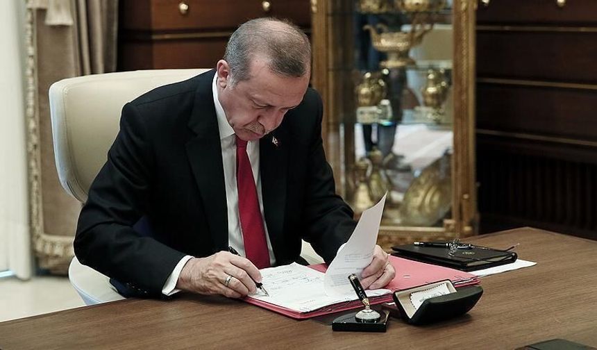 Sermaye Piyasası Kurulu ile TÜİK'e atama