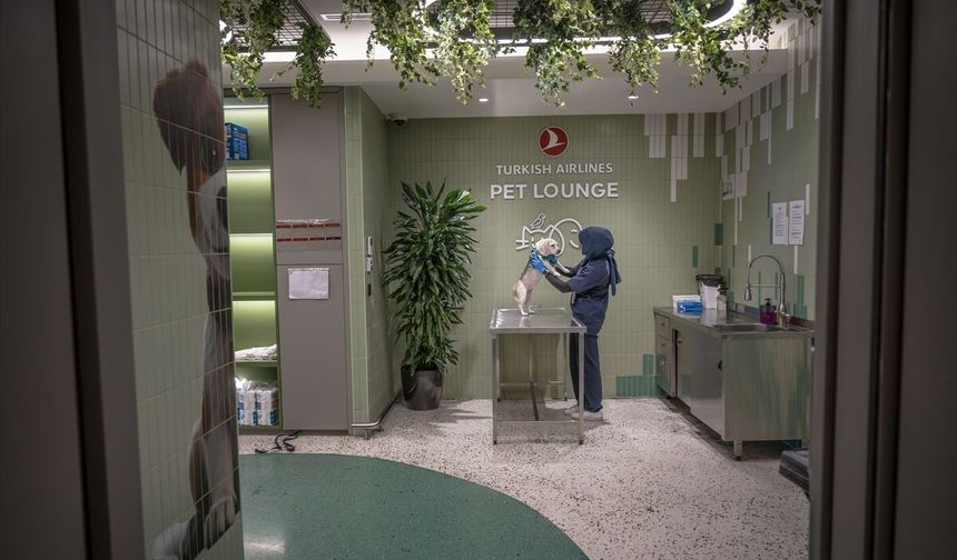 THY'den "Pet Lounge" hizmeti İstanbul Havalimanı'nda