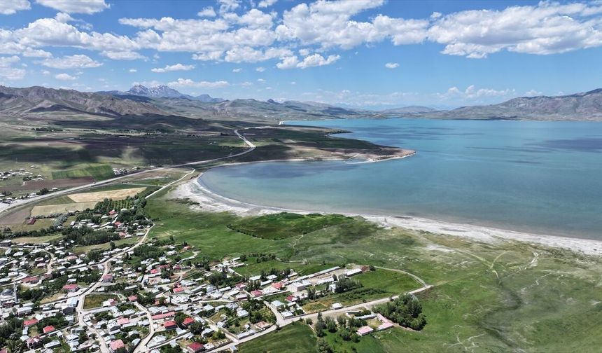 Kuraklık sonrası can geldi! Van'daki kuş cennetinde büyüleyici görüntü